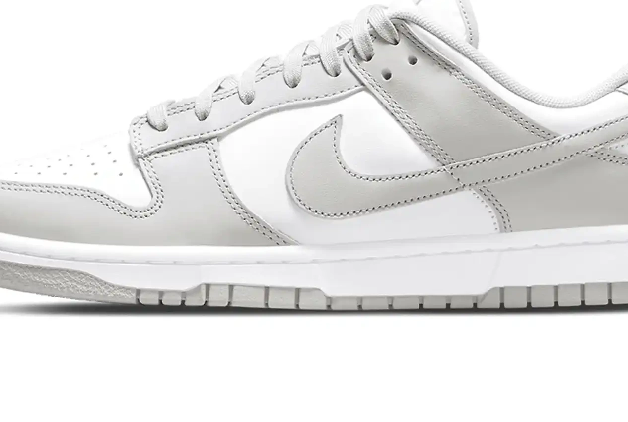 Nike Fog Dunk Grey Low 0521